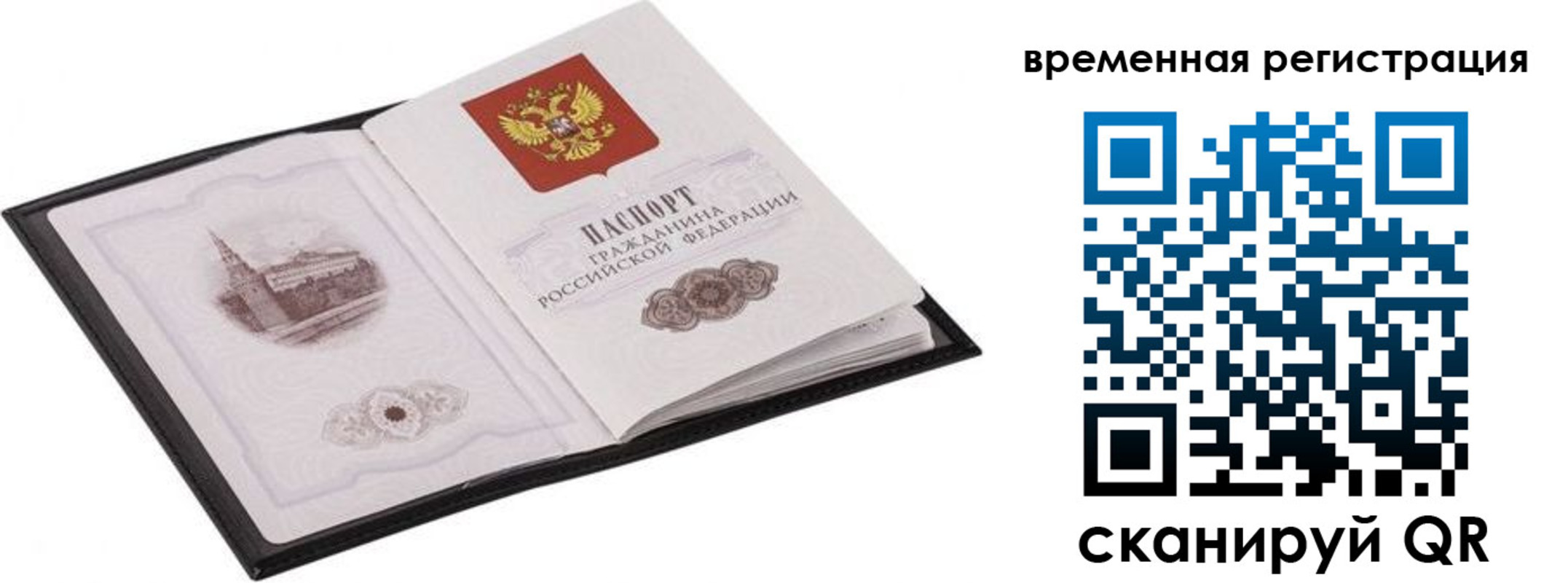 где прописаться в Каргополе